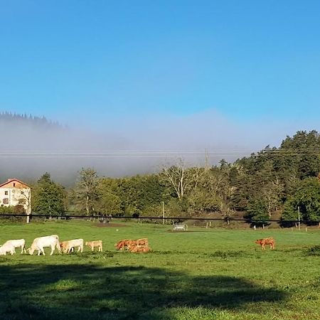Le Riolet Bed and Breakfast Marsac-en-Livradois Buitenkant foto