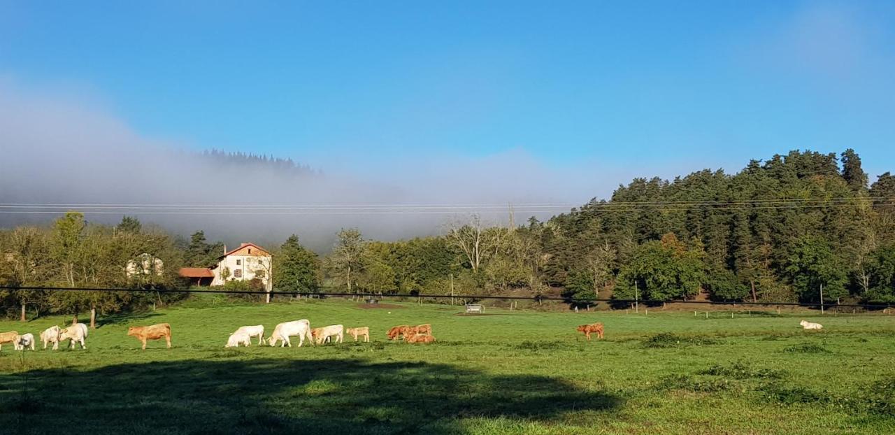 Le Riolet Bed and Breakfast Marsac-en-Livradois Buitenkant foto